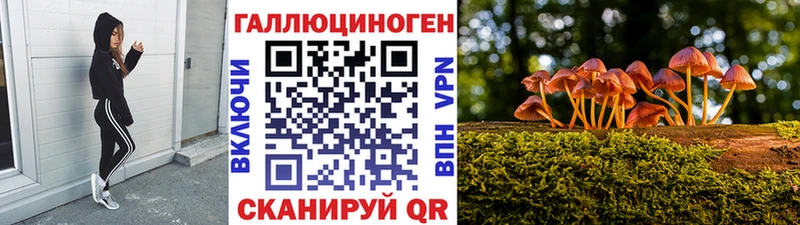 Псилоцибиновые грибы Magic Shrooms  Калтан 